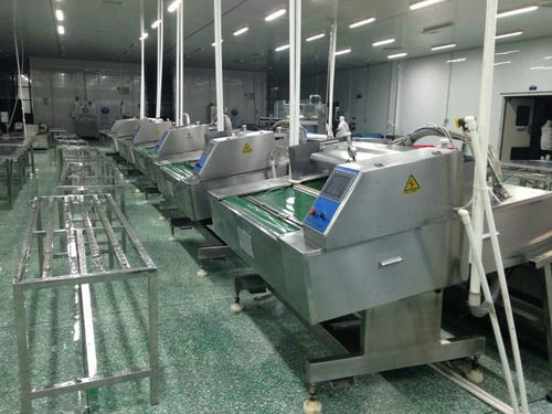 食品滾動(dòng)包裝機(jī)與電腦圖文設(shè)計(jì)的完美融合 現(xiàn)代包裝工業(yè)的核心驅(qū)動(dòng)力